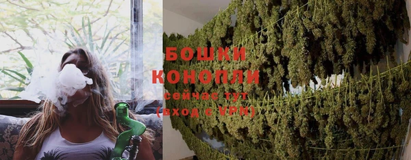 дурь Лабытнанги