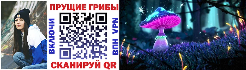 где купить Североморск Псилоцибиновые грибы мухоморы