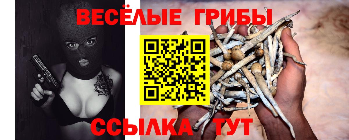 Галлюциногенные грибы Psilocybine cubensis  Вход с VPN  Галлюциногенные грибы GOLDEN TEACHER  Североморск 